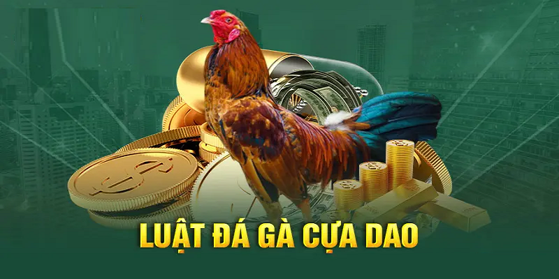 Luật chơi đá gà cựa dao mà tân binh cần nắm vững