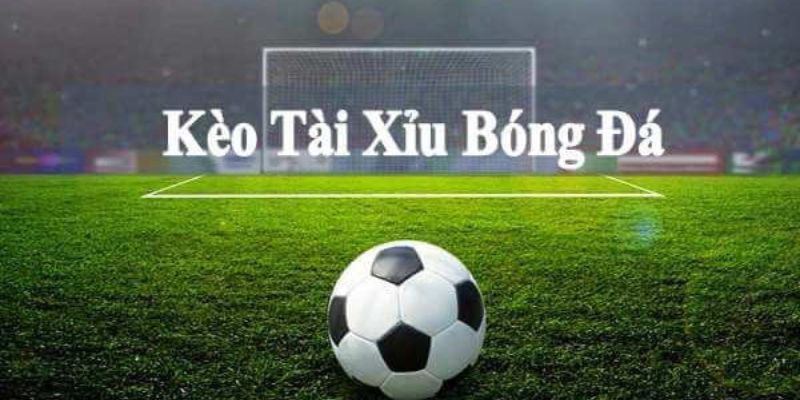 Xem xét dữ liệu thống kê